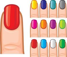 vernis à ongles de différentes couleurs vecteur