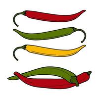 ensemble de coloré le Chili poivrons dans branché brillant couleurs. traditionnel Latin Amérique condiment et pimenter vecteur