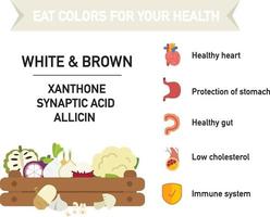 mangez des couleurs pour votre santé vecteur