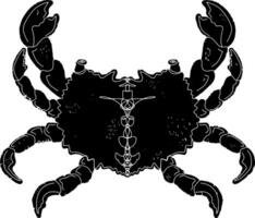 une noir et blanc dessin de une Crabe vecteur