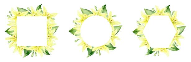 ensemble de cadres de Jaune vanille fleurs. couronnes de fleurs avec tropical exotique fleurs. aquarelle illustrations. isolé. arôme pour cuisson. pour salutation cartes, carte postale, scrapbooking, emballage conception vecteur