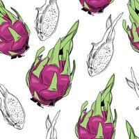 dragon fruit sans couture modèle. ligne dessin vecteur