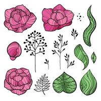 ensemble de dessins de fleurs de pivoine. illustration de fleur abstraite. vecteur