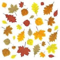 ensemble de feuilles d'automne colorées. éléments de conception illustration vectorielle vecteur