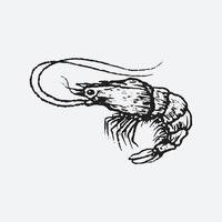 illustration de dessin de crevettes vecteur