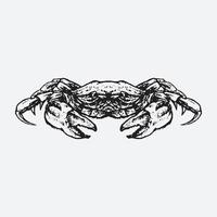 illustration de dessin de crabe vecteur