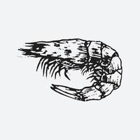 illustration de dessin de crevettes vecteur