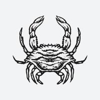 illustration de dessin de crabe vecteur