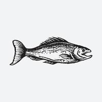 dessin de poisson saumon vecteur