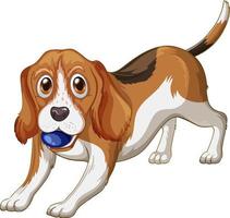 Caricature de chien beagle sur fond blanc vecteur