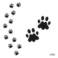 patte impressions, animal empreintes de pas, Lynx empreintes modèle. icône et Piste de empreintes de pas. noir silhouette. vecteur