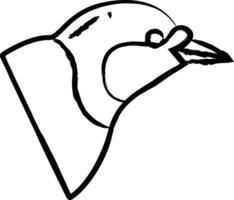 paradisaea oiseau main tiré vecteur illustration