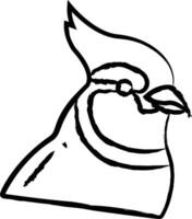 bleu geai oiseau main tiré vecteur illustration