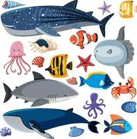 modèle sans couture de vie marine de dessin animé avec le caractère d'animaux marins vecteur