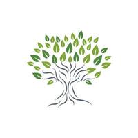 logos de l'écologie des feuilles d'arbre vert vecteur