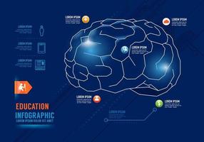 bannière d'options de conception de concept de cerveau d'éducation d'infographie. vecteur