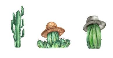 ensemble de cactus. illustration à l'aquarelle. vecteur