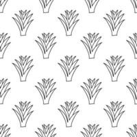 plante d'aloe vera de griffonnage. motif floral sans couture. isolé sur blanc vecteur