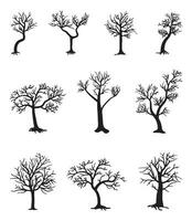 collection de vecteur des illustrations de sans feuilles arbre silhouettes dans l'automne