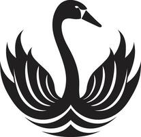 noir cygne iconographie vecteur cygne majesté