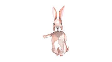 illustration aquarelle de petit lapin vecteur