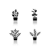 plantes domestiquées ensemble d'icônes de glyphe noir ombre portée vecteur