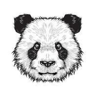 tête mignonne de panda, vecteur de dessin