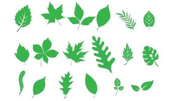 feuilles vertes ensemble. feuille verte écologie nature élément symbole isolé vecteur