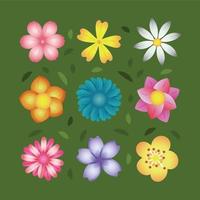 ensemble de modèles d'icônes de fleurs colorées vecteur