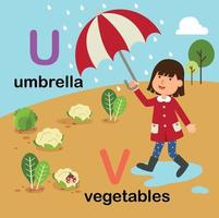 Lettre de l'alphabet u-parapluie,v-légumes,illustration vecteur