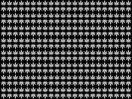 cannabis aussi connu comme marijuana feuille silhouette motifs modèle, pouvez utilisation pour décoration, orné, fond d'écran, toile de fond, textile. mode, tissu, tuile, sol, couverture, emballage, etc. vecteur illustration