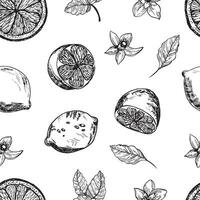 graphique modèle avec citrons, citron tranches avec fleurs. sans couture modèle avec été citrons, dessiné à la main dans encrer. vecteur Contexte avec agrumes des fruits et fleurs, branches