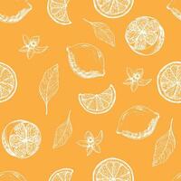 graphique modèle avec citrons, citron tranches avec fleurs. sans couture modèle avec été citrons, dessiné à la main dans encrer. vecteur Contexte avec agrumes des fruits et fleurs, branches. Jaune citrons