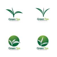 Logo de feuille de thé vert icône vecteur illustration design
