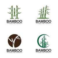 bambou logo modèle vecteur icône illustration design