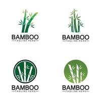 bambou logo modèle vecteur icône illustration design