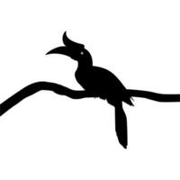 génial klaxon oiseau silhouette perché sur le branche arbre silhouette. vecteur illustration