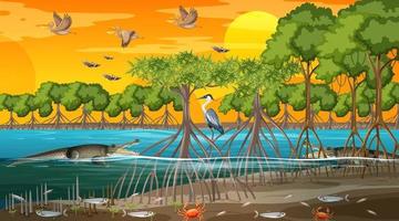 paysage de forêt de mangrove au coucher du soleil avec de nombreux animaux différents vecteur