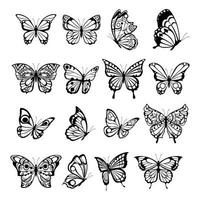 belle nature insecte volant papillons exotiques avec des ailes drôles