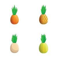 ananas Icônes ensemble dessin animé vecteur. mûr exotique fruit vecteur