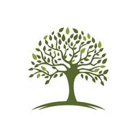 logos de l'écologie des feuilles d'arbre vert vecteur