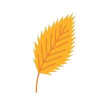 vecteur cendre arbre feuille clipart. l'automne Jaune cendre arbre feuille