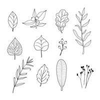 griffonnage icône de le feuilles de différent des arbres. contour image de déchue feuilles noir dessin de les plantes pour autocollants, décoration, carte postale. vecteur clipart de plan