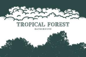 silhouette de tropical jungle forêt et nuage pluie ciel Contexte conception vecteur