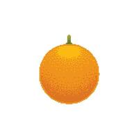 Orange fruit logo icône vecteur