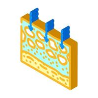 sol perméabilité hydrogéologue isométrique icône vecteur illustration