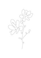 botanique un dessin au trait minimaliste vecteur
