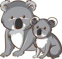Mère et bébé dessin animé ours koala sur fond blanc vecteur