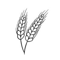 oreille de blé, orge ou seigle. vecteur contour icône isolé sur blanc Contexte