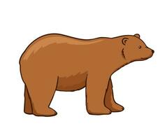 adulte marron ours. vecteur plat dessin animé illustration isolé sur blanc Contexte. forêt animal.
